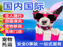 黑河瑷珲航空运输国际宠物托运 【国